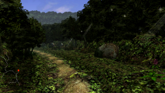 Forest-36