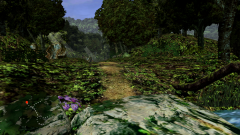 Forest-37