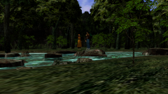 Forest-38
