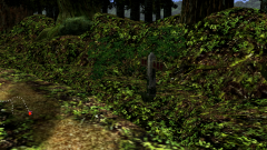 Forest-39