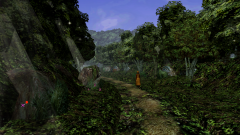 Forest-4