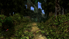 Forest-40