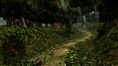 Forest-41