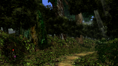 Forest-42