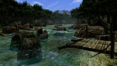 Forest-44