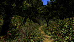 Forest-45