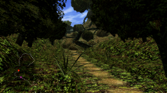 Forest-46