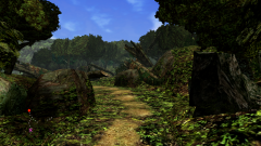 Forest-47