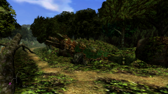 Forest-48