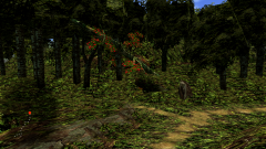 Forest-49