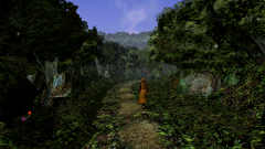 Forest-5