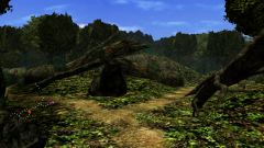 Forest-50