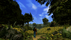 Forest-54