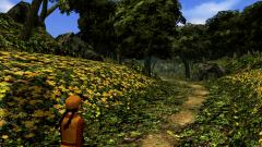 Forest-55