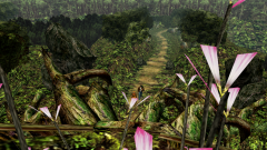 Forest-58