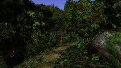 Forest-6