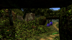 Forest-61