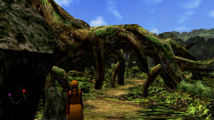 Forest-62