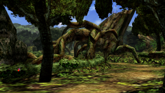 Forest-63