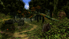 Forest-64