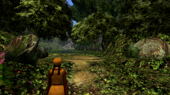 Forest-65