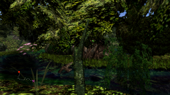 Forest-66