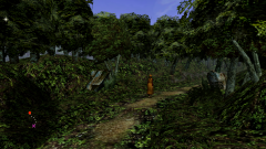 Forest-7