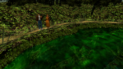 Forest-70