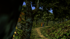 Forest-71