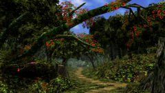 Forest-72