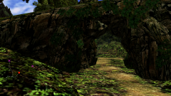 Forest-74