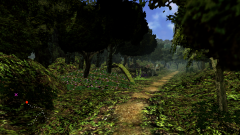 Forest-75