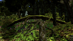 Forest-76