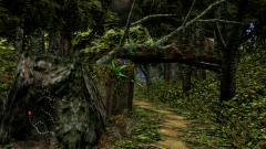 Forest-77