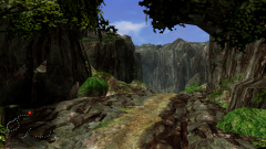 Forest-78