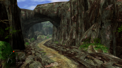 Forest-79