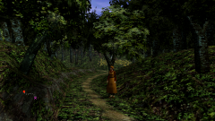 Forest-8