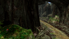 Forest-80