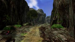 Forest-81