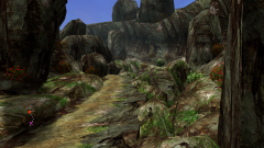 Forest-82