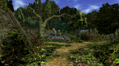 Forest-83