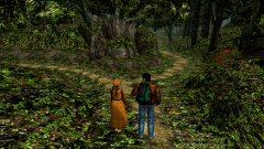 Forest-84