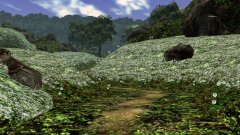 Forest-85