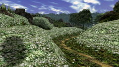 Forest-88