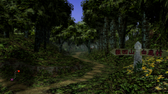Forest-9