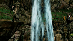 Forest-97