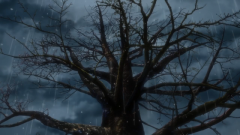 STREAM_ANIME_EPI01-STILLS-REEL.00_10_19_26.Still093