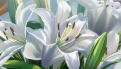 scene50101