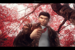 Catching Leaves