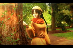 Forest Path